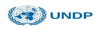UNDP logo (1)
